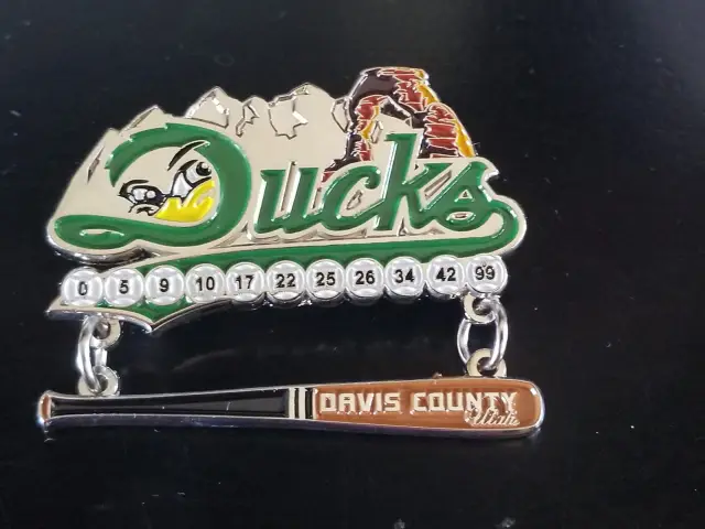 Ducks Baseball Pin